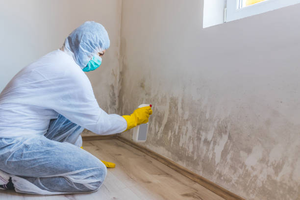 Licensed Mold Testing service in Simpson, PA - WQB Mold Removal