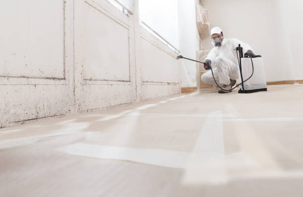 24/7 Emergency Mold Testing experts in Simpson, PA