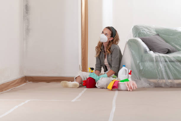 Reliable Mold Testing contractor in Simpson, PA by WQB Mold Removal